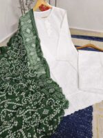 EMBROIDERY CHICKEN KARI 2 PC WITH GREEN CHUNDRI DUPPATA - Image 2